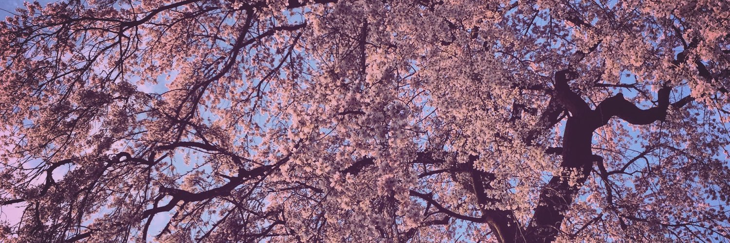 stuartkaraffa's profile banner image