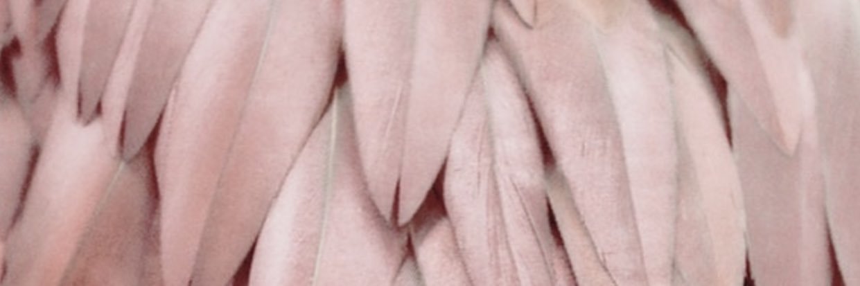 Sarah-Jane banner
