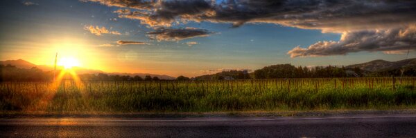 mjbommar Profile Banner