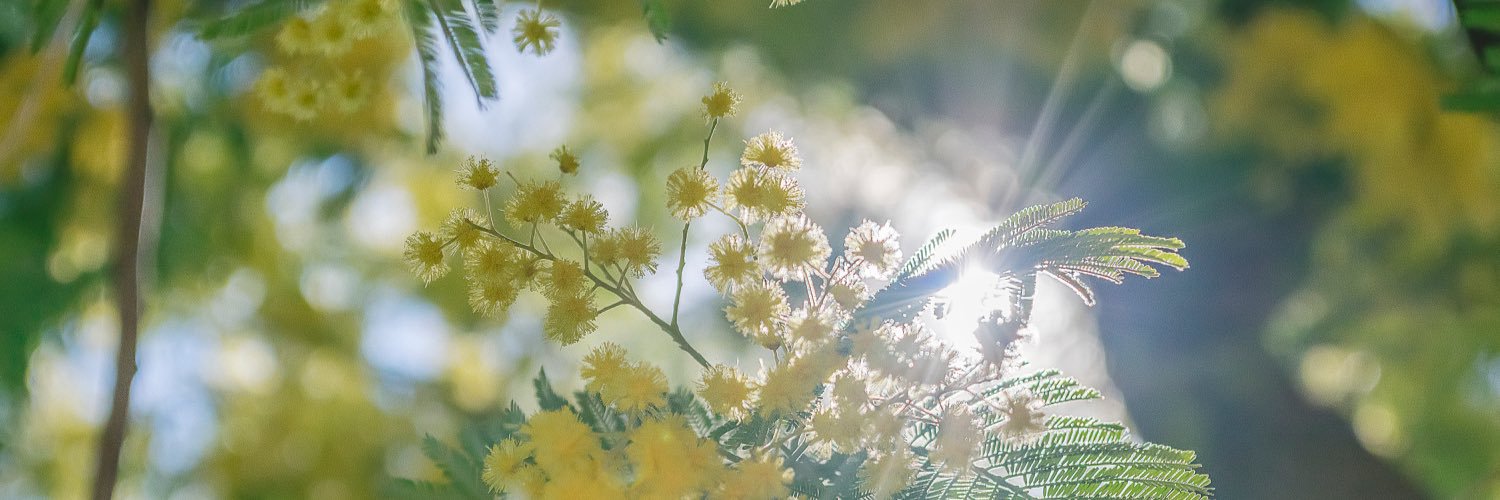 ragnetta83's profile banner image