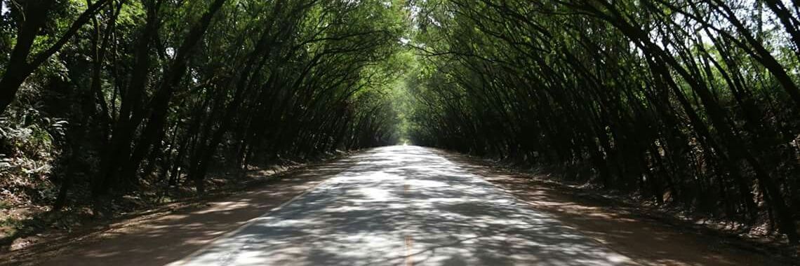 Adrián Céspedes banner