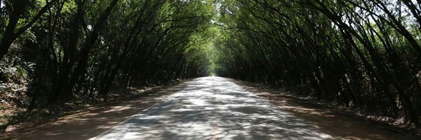 randallflagg Profile Banner