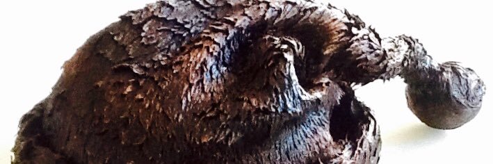 Carrie Lovatt banner