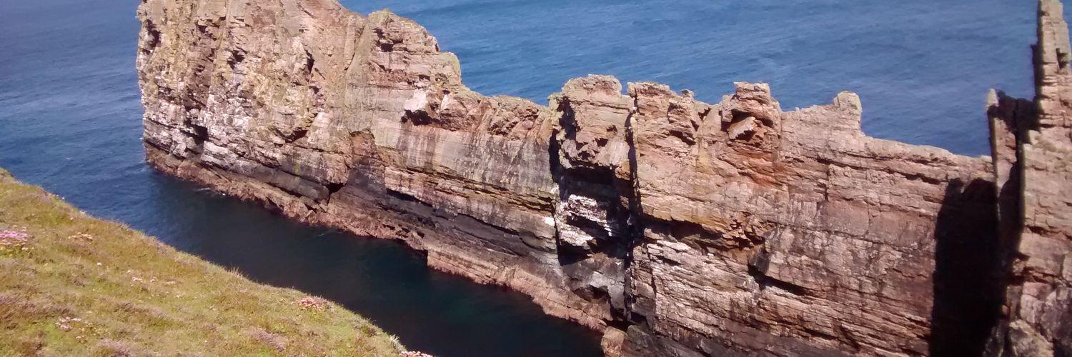 Sharon Martin banner