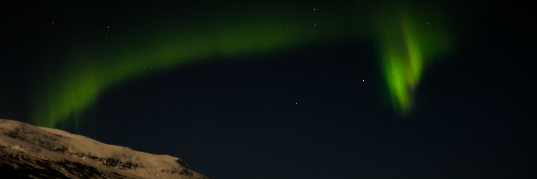 🌈 michelle@phpc.social banner