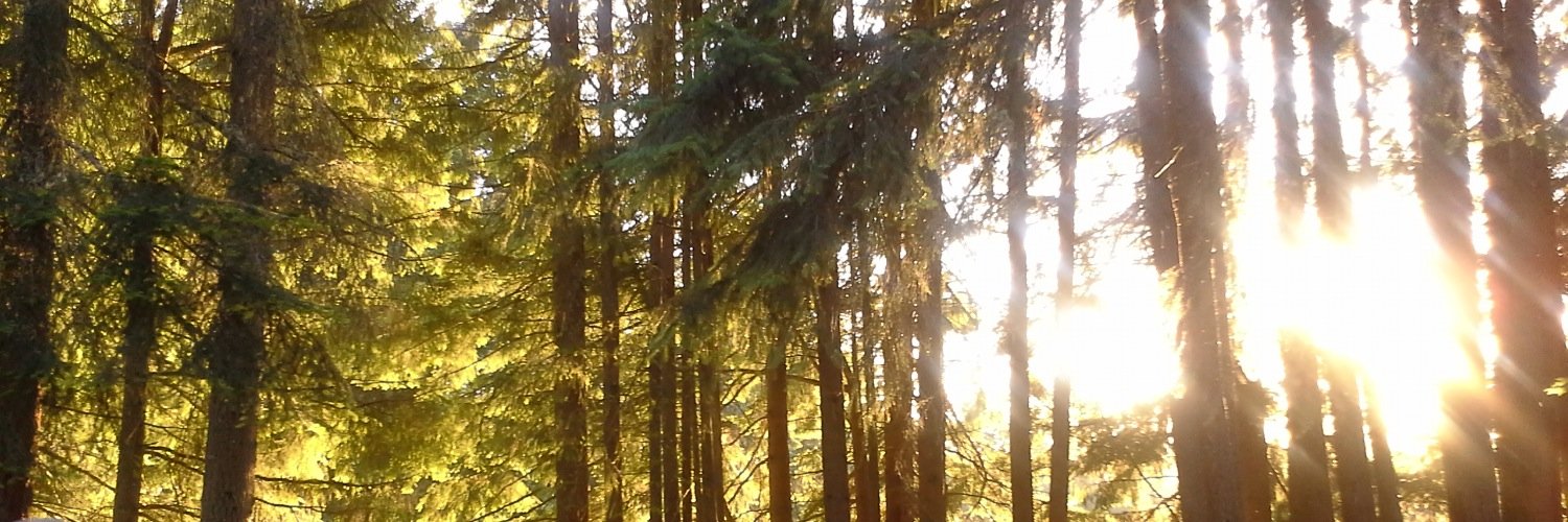 larsyfarsy's profile banner image