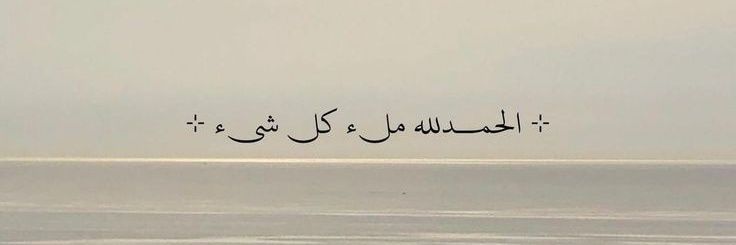 نُــ 𐙚 banner