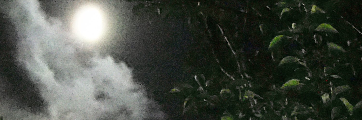 lia banner