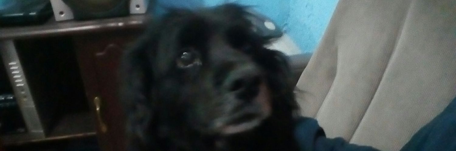 chucho_1ramirez's profile banner image