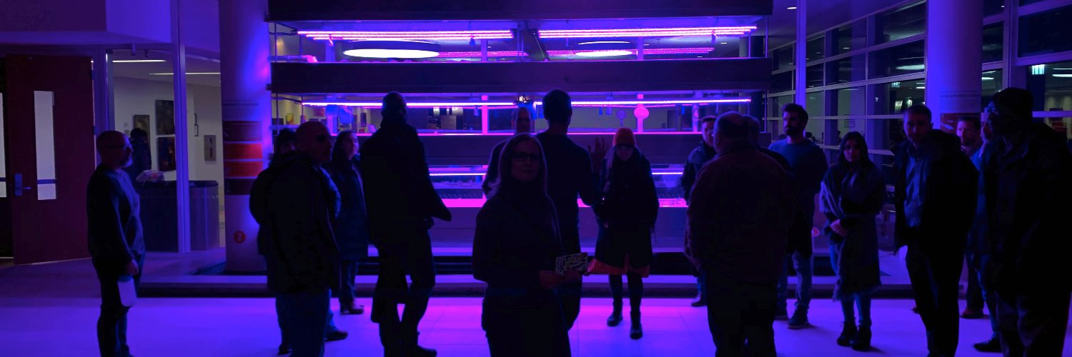 🇹🇩 🍛 banner