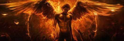 WillVolturi's profile banner image