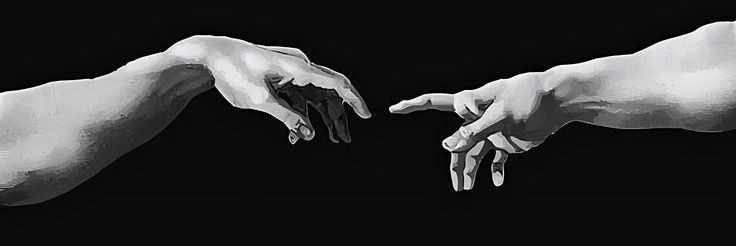 oibibis's profile banner image