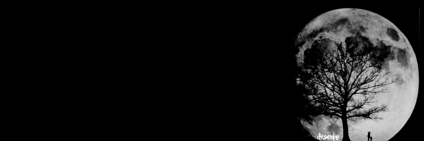 nathibeiro's profile banner image