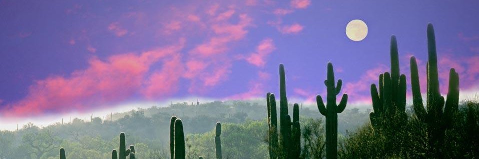 Be Right Back banner