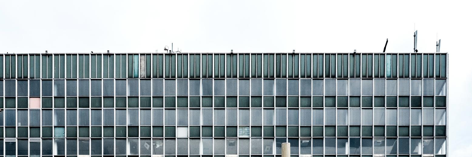 Tom Hubbard-Green banner