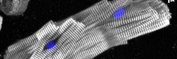 DewarsEnya Profile Banner