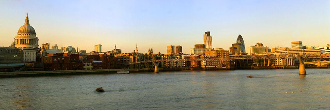 stevehomer_net's profile banner image