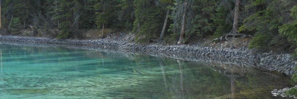 timshier Profile Banner