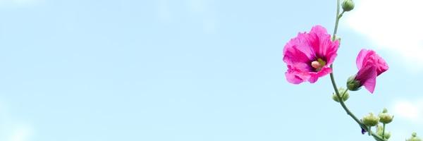 MosacUk's profile banner image