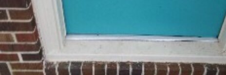 elineberry's profile banner image
