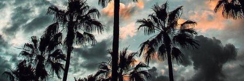 shais banner