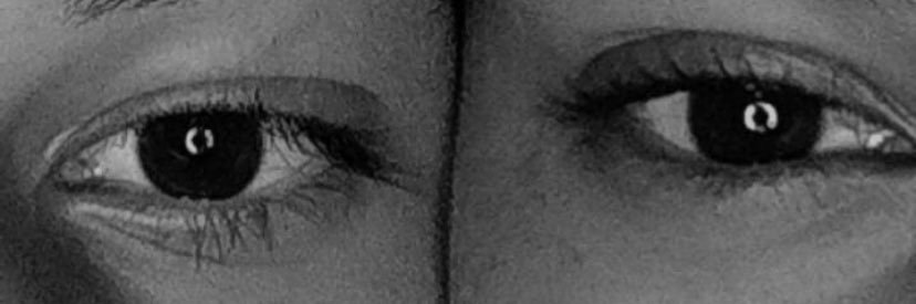 Fla ☯️ banner