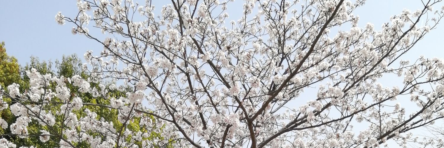 Anko_room's profile banner image
