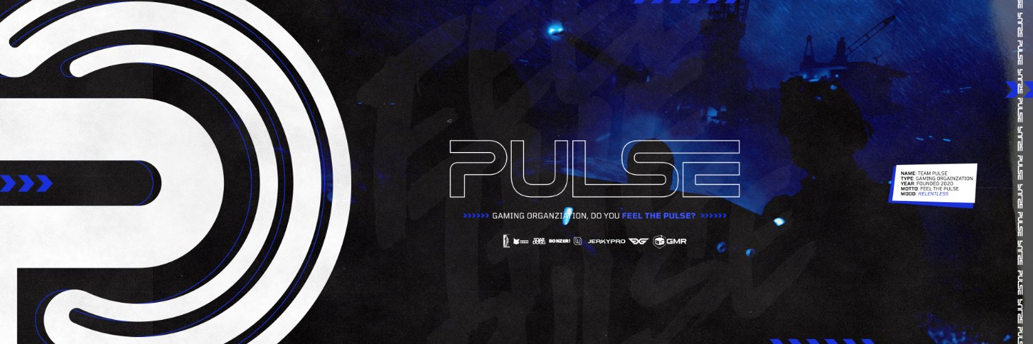 𝗧𝗲𝗮𝗺 𝗣𝘂𝗹𝘀𝗲™ banner