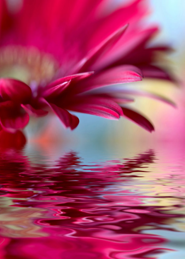bashayer3344's profile banner image