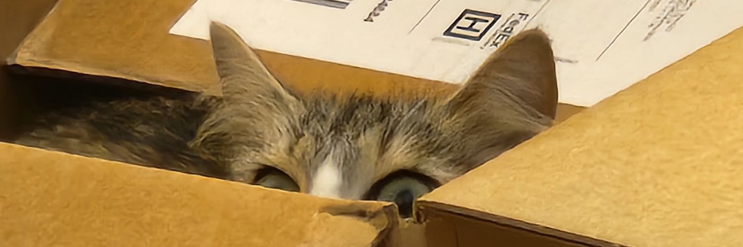 AVOIDrobotvoice's profile banner image