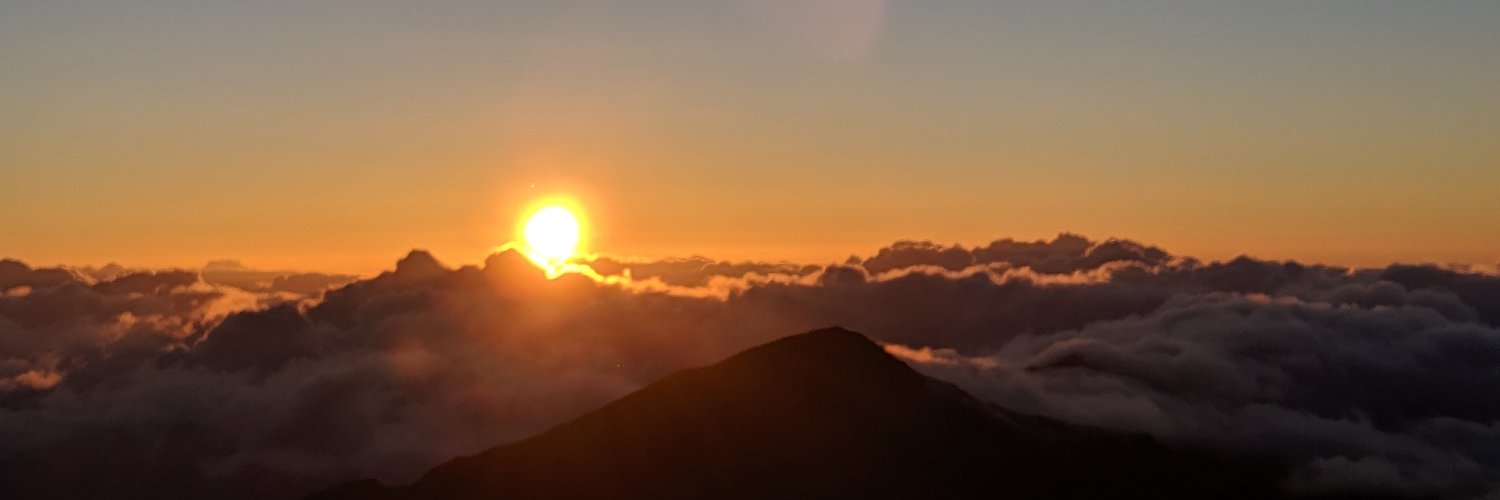 Allison Canagasaby banner