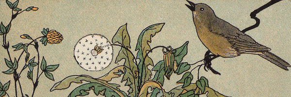 cocodrilosad Profile Banner