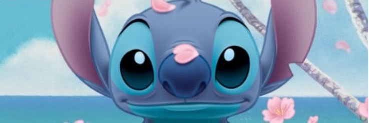 solcipuchu's profile banner image