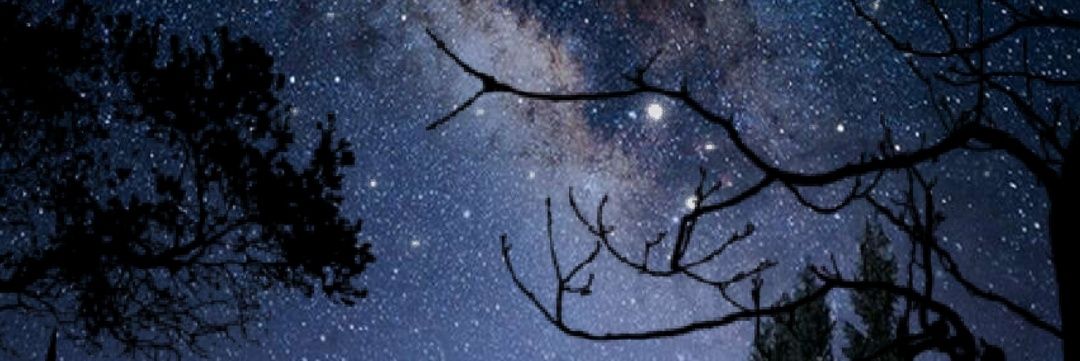 danielddemoraes's profile banner image