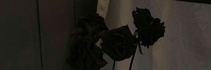 Jom banner