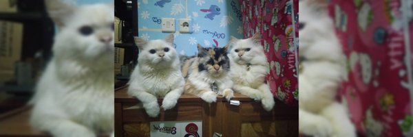 Agha___ Profile Banner