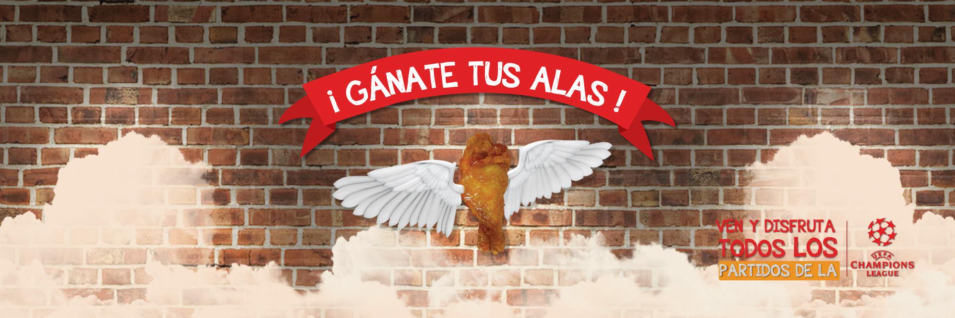 alaswingsmx's profile banner image