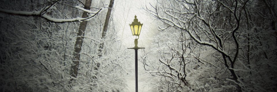 wunderkinddream's profile banner image
