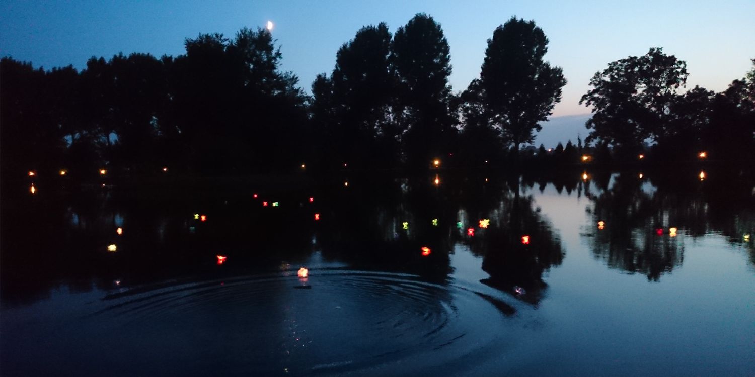 Michael Anderson banner