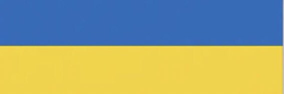 🇺🇦 Nothing but Tesla 💎🙌 banner