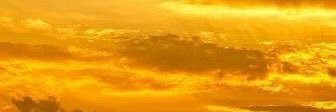 pinkcow_'s profile banner image