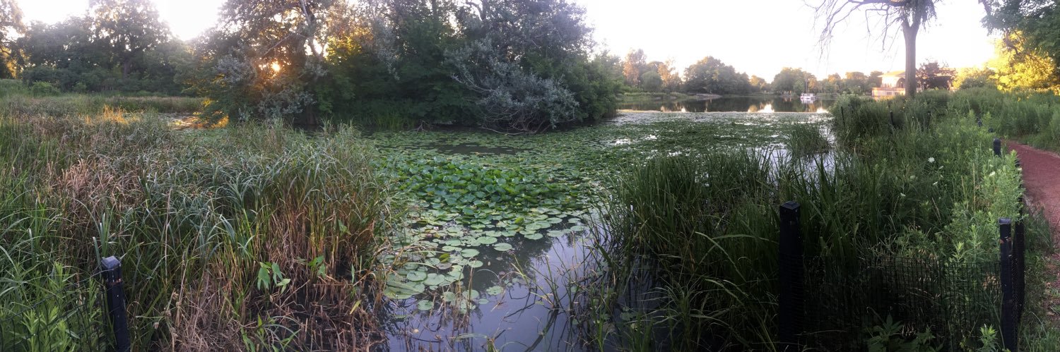 Stephen Rynkiewicz 🦄 banner