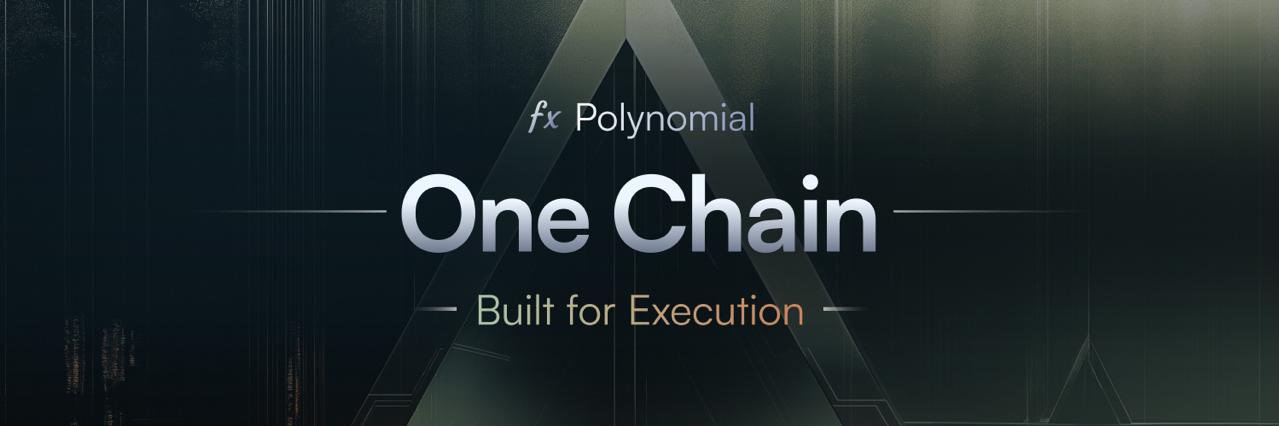 Polynomial's banner