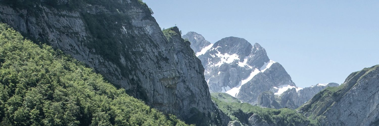 Quinn_ns's profile banner image