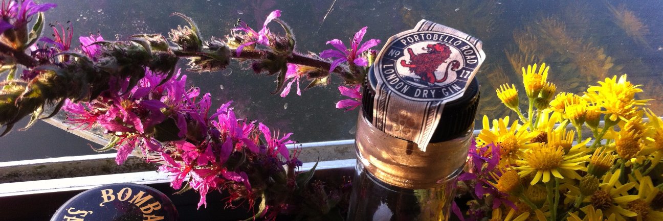 Gail Anderson 🦜 banner