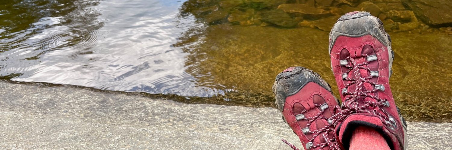 TracyZimmerman banner