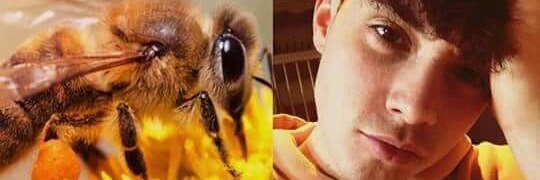 ForeverRye96's profile banner image