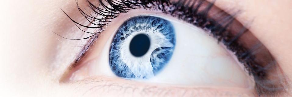 VisionyPiel's profile banner image