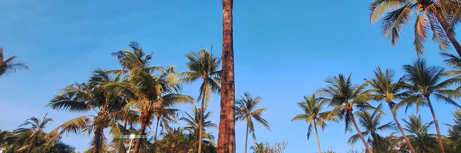Dhevika_'s profile banner image