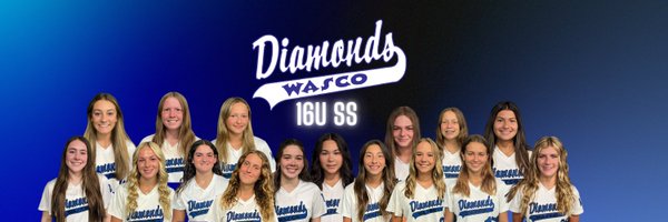 Wasco Diamonds 16U SS Profile Banner